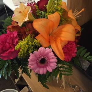 Meet your Posher, Treanne